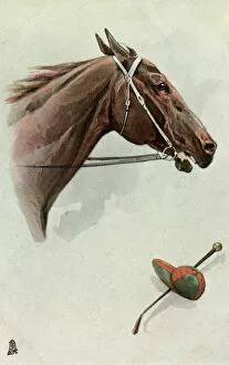 Whip Collection: Profile portrait of a racehorse