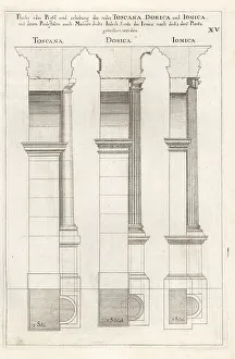 Johann Franck Prints: Profiles of Tuscan, Doric and Ionic order columns