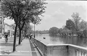 Bedfordshire Prints: The Promenade, Bedford