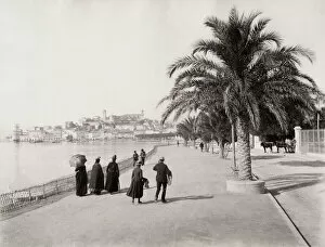 Boulevard Collection: The Promenade de la Croisette, Cannes, France