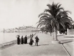 The Promenade de la Croisette, Cannes, France