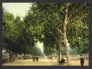 Montpelier Prints: The Promenade, Montpelier, France