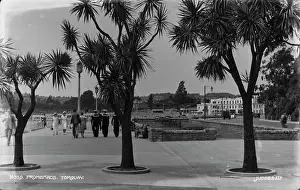 Lampposts Prints: Promenade in Torquay
