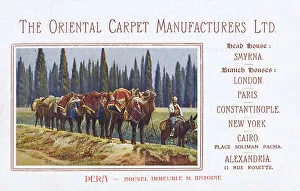 Promotional Collection: Promotional card for the Oriental Carpet Manufacturers Ltd