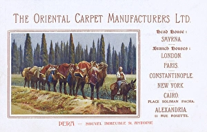 Istanbul Collection: Promotional card for the Oriental Carpet Manufacturers Ltd