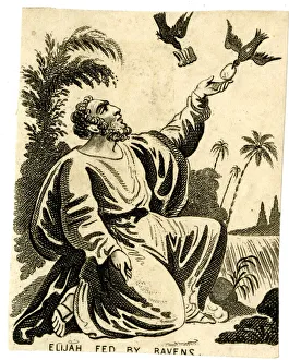 Survival Gallery: The prophet Elijah fed by ravens