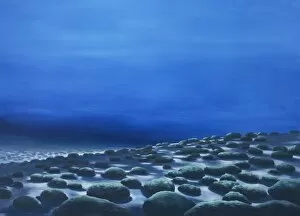 Algal Gallery: Proterozoic ocean floor