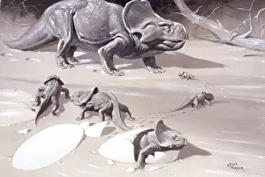 Protoceratops