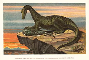 Protorosaurus speneri feeding on a Menaspis armata
