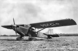 Auster Prints: Prototype Beagle-Auster AOP11 XP254
