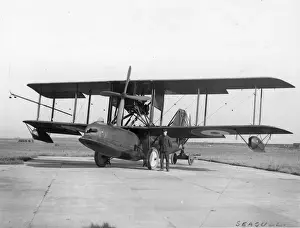 Seagull Prints: Prototype Supermarine Seagull N146