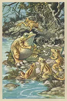Proud Prints: Proud Frog (Folkard)