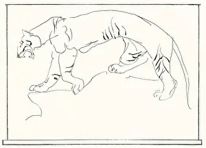Uneven Prints: Prowling Tiger