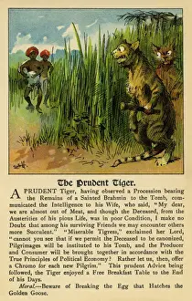 The prudent tiger