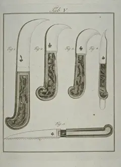 Pomona Franconica Prints: Pruning tools: pruning knives (a, b, c) trimming knife (d), pr