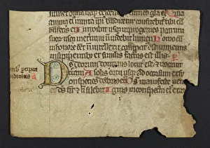 Psalter (Fragment)