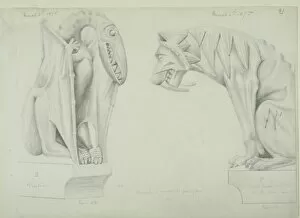 Archosauromorpha Collection: Pterodactyl and scimitar-toothed lion design