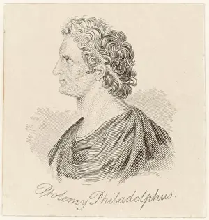 Philadelphus Prints: Ptolemy Philadelphus