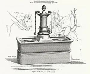 Troughs Prints: Public cast iron water trough for horses, dogs and driver. Date: 1906