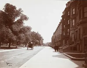 Common Wealth Prints: Public Gardens, Boston
