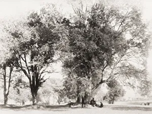 Public gardens, Gonda, India, photographer with camera