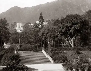 New Images May Prints: Public Gardens, Hong Kong, circa 1870s. Date: circa 1870s