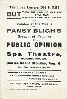 Public Opinion by R C Carton