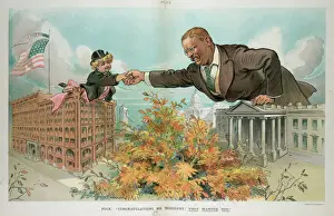 Congratulations Prints: Puck: Congratulations, Mr. President; they wanted you