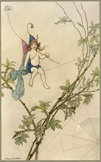 Mischief Prints: Puck on spiders thread