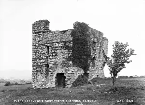 Pucks Castle and Fairy Thorn, Shankill, Co. Dublin