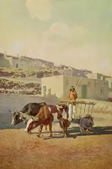 Laguna Prints: Pueblo Village