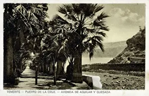 Archipelago Prints: Puerto de la Cruz, Tenerife - Avenida de Aguilar y Quesada