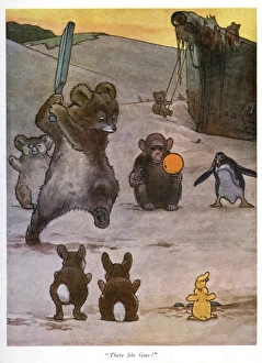 Penguin Gallery: Pug Peter -- animals playing cricket with an orange