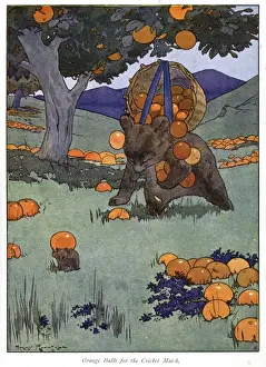 Fallen Prints: Pug Peter -- a bear gathering fallen oranges