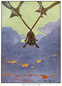 Rescue Prints: Pug Peter -- dog carried through air by seagulls