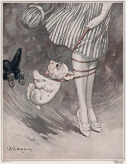 Bonzo Collection: A Pull to Leg by George Studdy