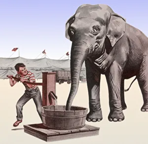 Pumping Collection: Pumping Elephants Water Date: 1950