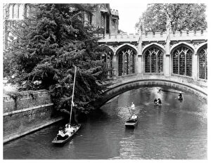 Cambridge Gallery: Punting at Cambridge 1