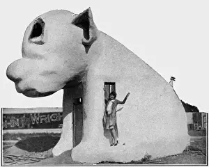 Angeles Prints: The Pup Cafe, Venice, Los Angeles, USA