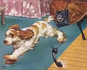 Occasions Prints: Pup Upsets Table, Phone Date: 1948