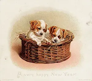 Two puppies in a basket on a New Year card