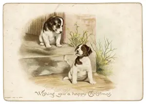 Wondering Prints: Puppies on a Doorstep