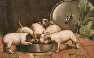 Eager Prints: Puppies eating from a large bowl