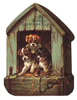 Kennels Prints: Three puppies on a kennel-shaped Christmas card
