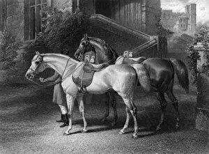 Stables Prints: Two pure Arab sires of Queen Victoria