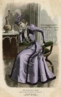Aigrette Prints: Purple Ensemble 1899