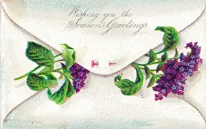 Pinned Prints: Purple lilac in an envelope on a Christmas card