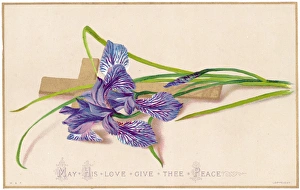 Variegated Gallery: Purple lily and a cross on an Easter card
