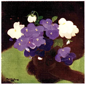Viola Prints: Purple And White Violas