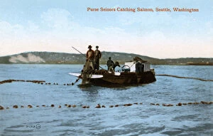 Purse Seinors Catching Salmon, Seattle, Washington, USA